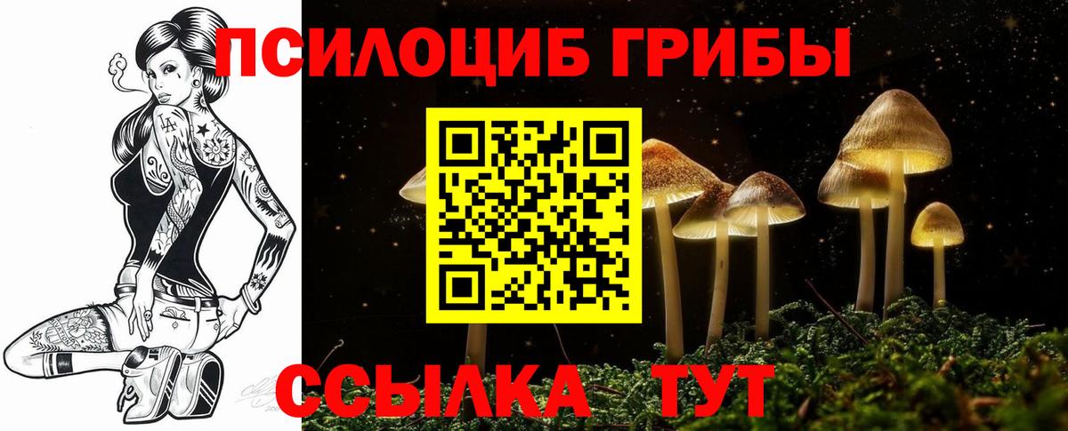 Сызрань  Галлюциногенные грибы мицелий  Вход с VPN 